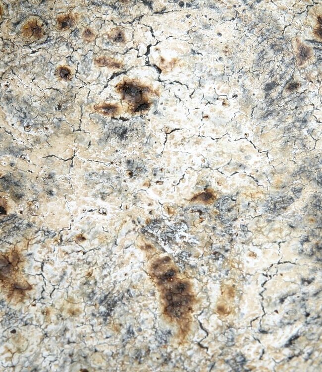 Bazar Bizar The Burned Kom - Antiek - Meerdere Maten