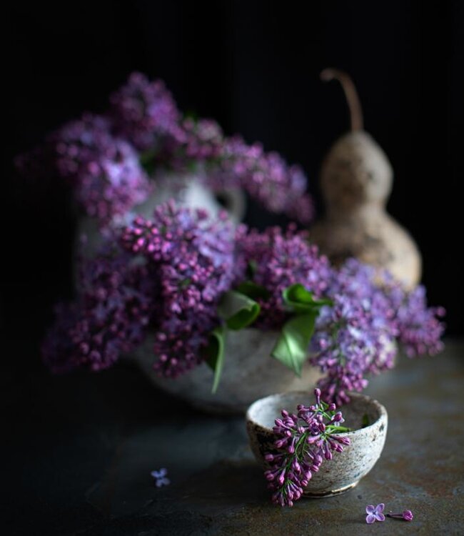 Bazar Bizar The Burned Kom - Antiek - Meerdere Maten