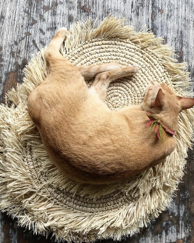Bazar Bizar The Fringe Raffia Placemat - Naturel - B45 cm