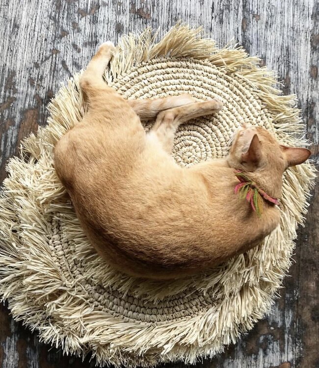 Bazar Bizar The Fringe Raffia Placemat - Naturel - B45 cm