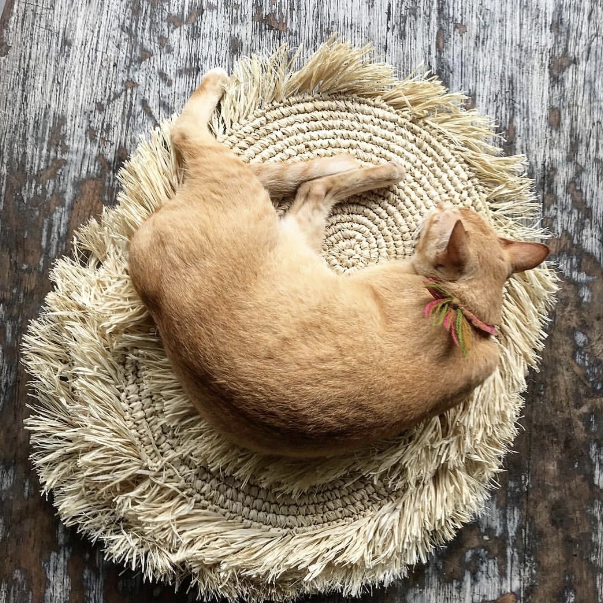Bazar Bizar The Fringe Raffia Placemat - Naturel - B45 cm