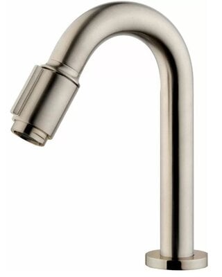 Wiesbaden Victoria Luxe Fonteinkraan - Geborsteld Staal - H19 cm