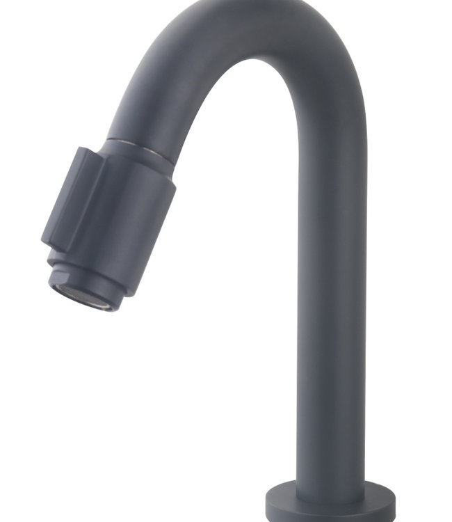 Wiesbaden Victoria Luxe Fonteinkraan - Mat Zwart - H19 cm