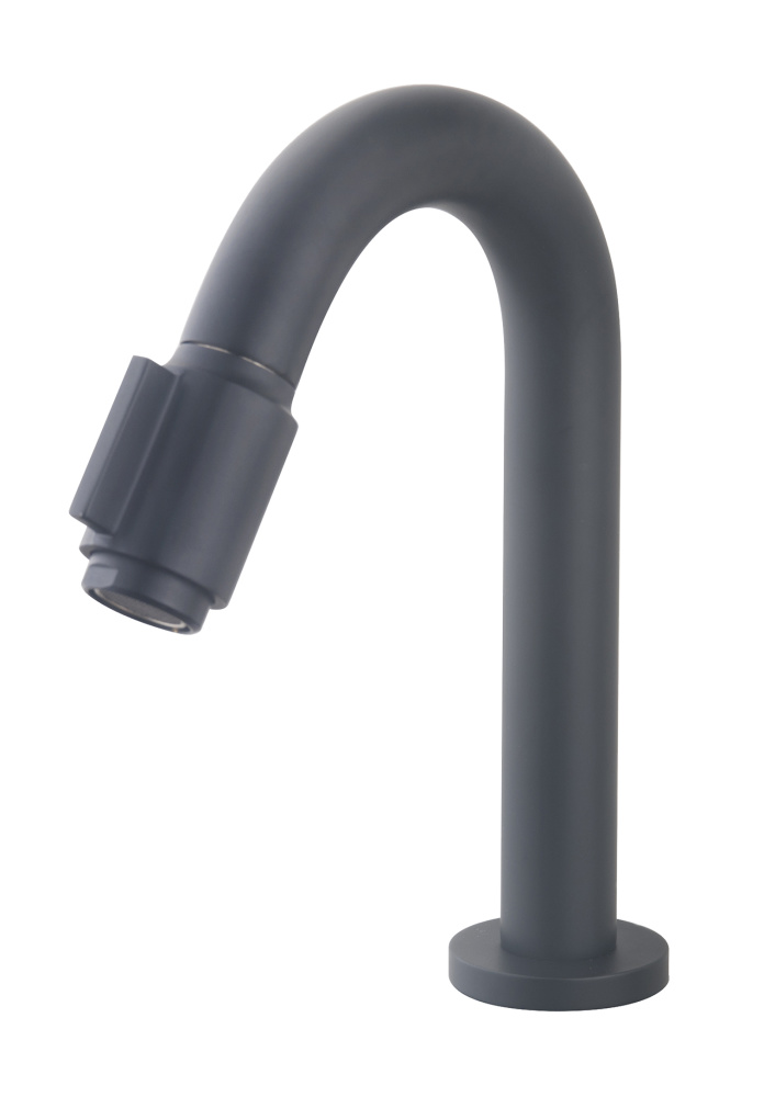 Wiesbaden Victoria Luxe Fonteinkraan - Mat Zwart - H19 cm