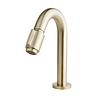 Victoria Luxe Fonteinkraan - Geborsteld Messing - H19 cm