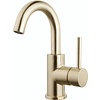 Wastafelkraan met Draaibare Uitloop - 22,9 cm