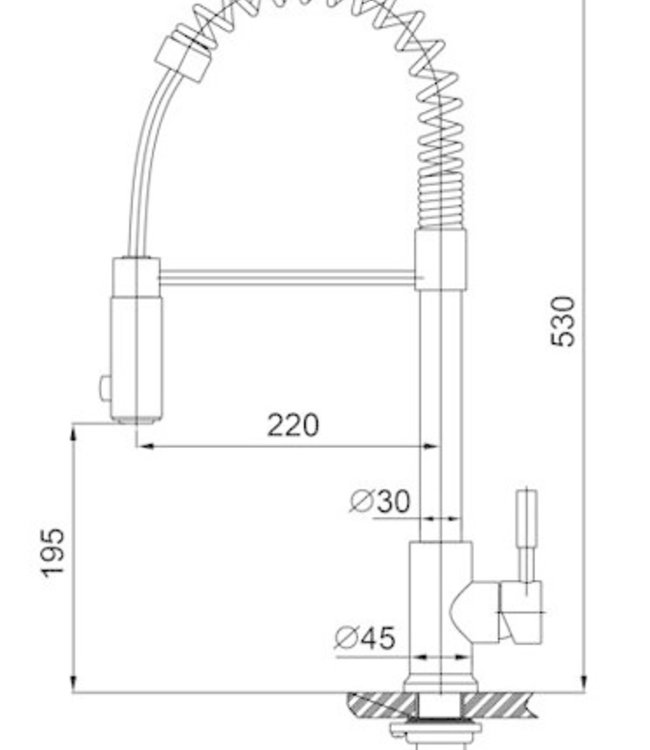 Wiesbaden RVS Keukenkraan met Handdouche - H53 cm