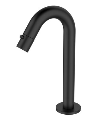 Wiesbaden Metro Toiletkraan - Mat Zwart - H20,6 cm