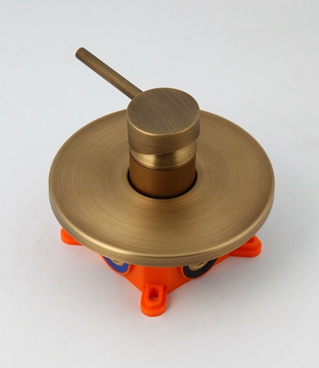 Rene Houtman Bronzen Regendouche - Inbouw - D20 cm