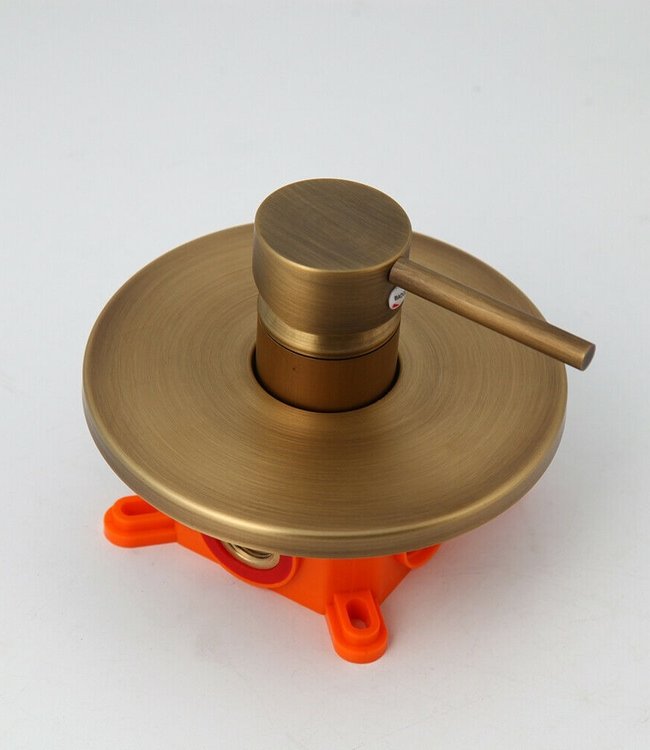 Rene Houtman Bronzen Regendouche - Inbouw - D20 cm