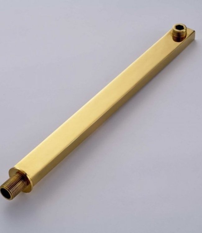 Rene Houtman Inbouw douche set - Goud