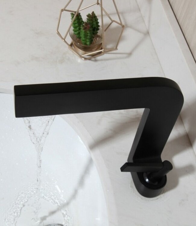 Rene Houtman Industriële Zwarte Mengkraan