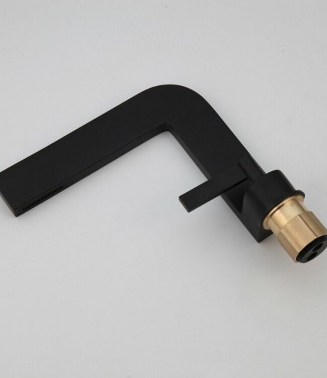 Rene Houtman Industriële Zwarte Mengkraan