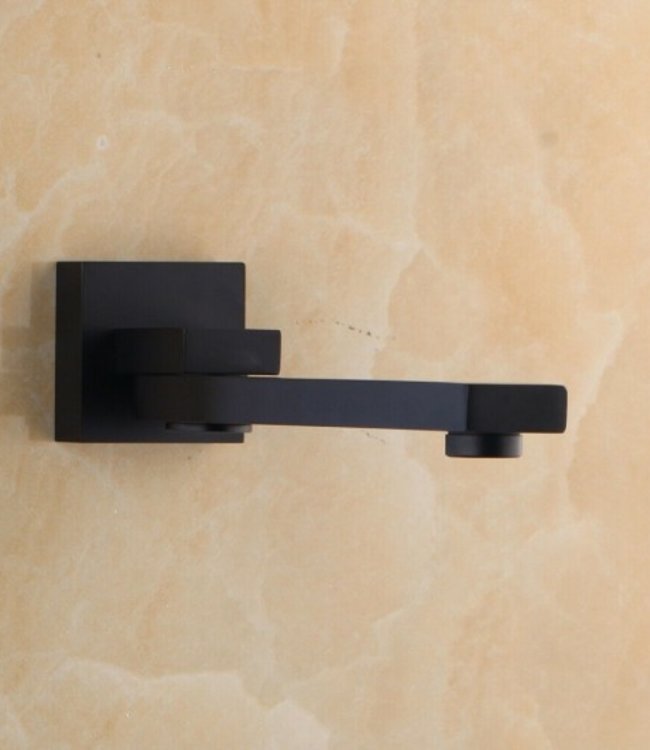 Rene Houtman Zwarte Muurkraan