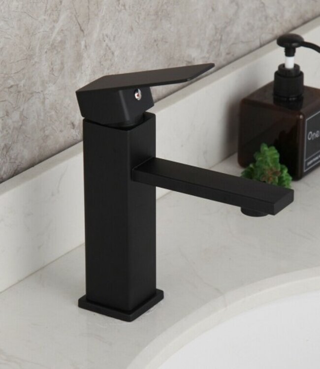 Rene Houtman Zwarte Mengkraan