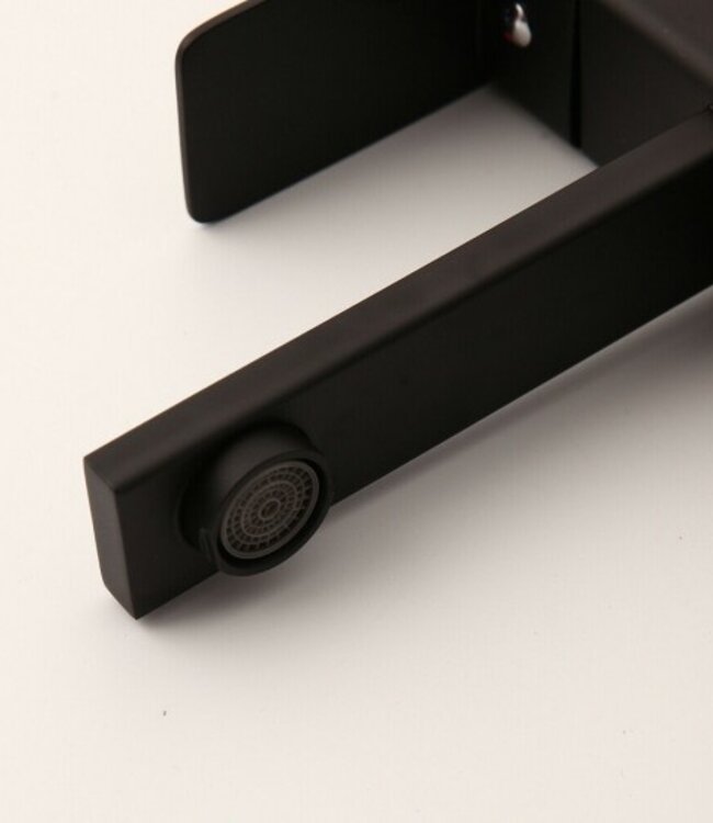 Rene Houtman Zwarte Mengkraan