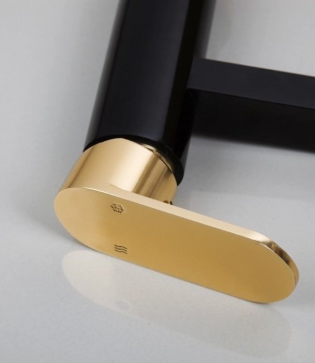 Rene Houtman Zwart Gouden Wastafelkraan