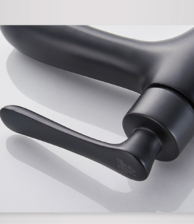 Rene Houtman Koud Water Kraan - Mat Zwart