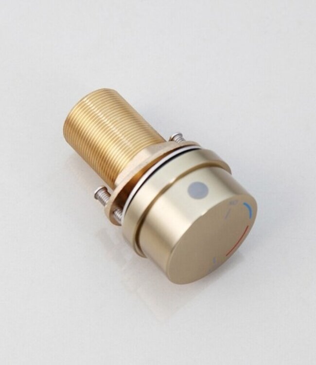 Rene Houtman Geborsteld Gouden Opbouw Mengkraan - 2-delig