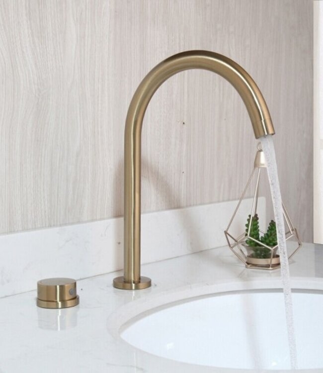 Rene Houtman Geborsteld Gouden Opbouw Mengkraan - 2-delig