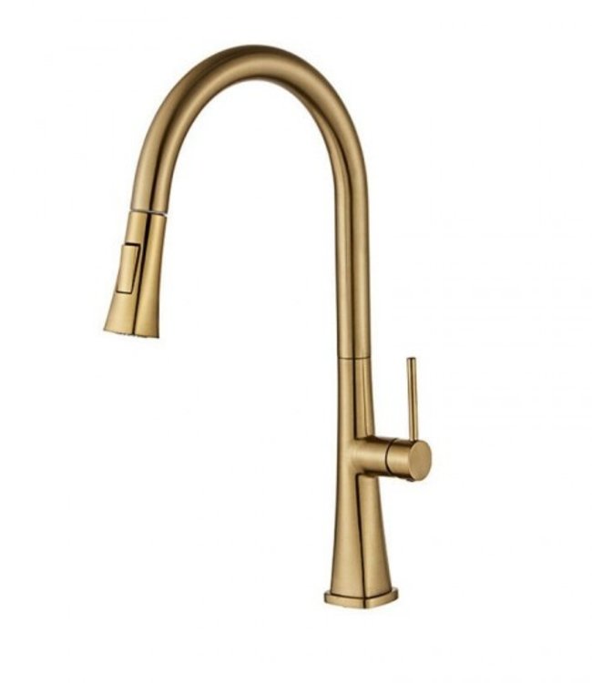 Rene Houtman Geborsteld Gouden Keukenkraan