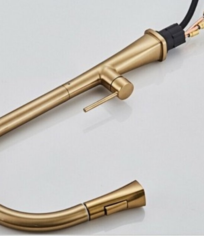 Rene Houtman Geborsteld Gouden Keukenkraan