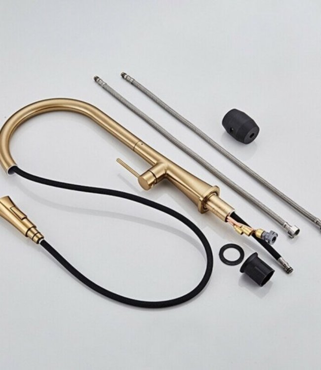 Rene Houtman Geborsteld Gouden Keukenkraan