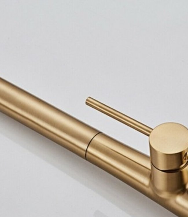 Rene Houtman Geborsteld Gouden Keukenkraan