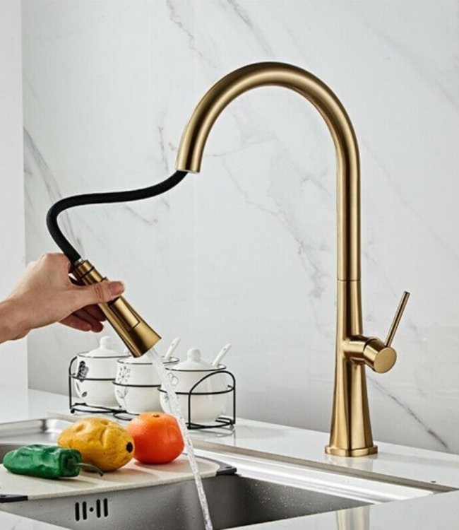 Rene Houtman Geborsteld Gouden Keukenkraan