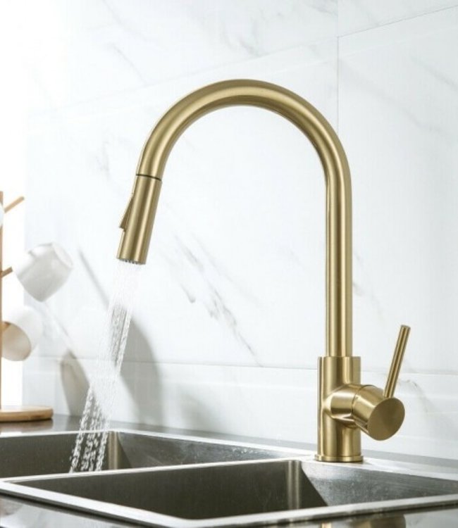 Rene Houtman Mat Gouden Keukenkraan