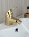 Rene Houtman Geborsteld Gouden Bidet Kraan