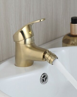 Rene Houtman Geborsteld Gouden Bidet Kraan