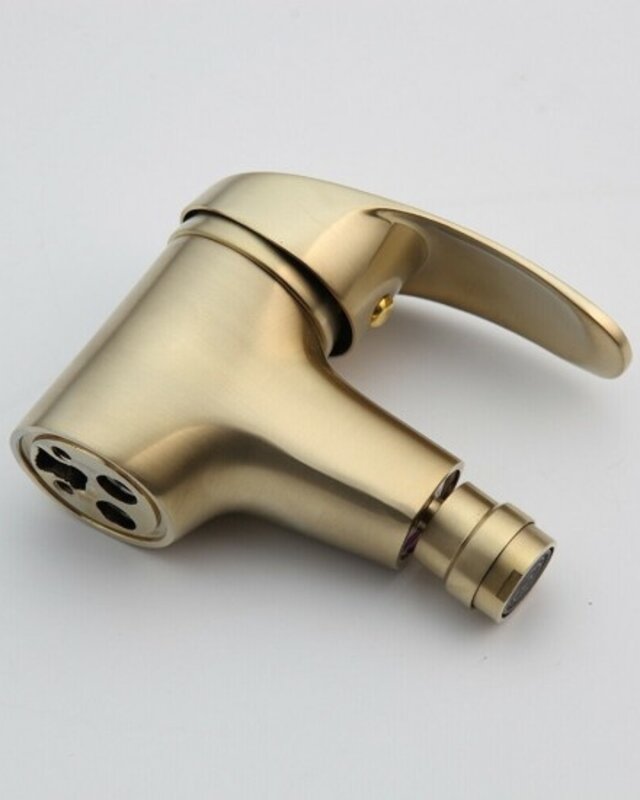 Rene Houtman Geborsteld Gouden Bidet Kraan