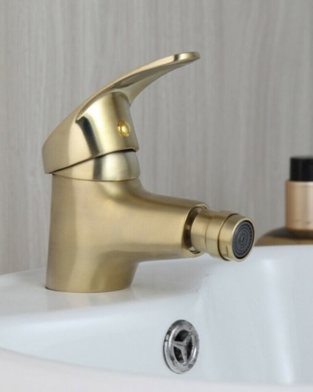 Rene Houtman Geborsteld Gouden Bidet Kraan