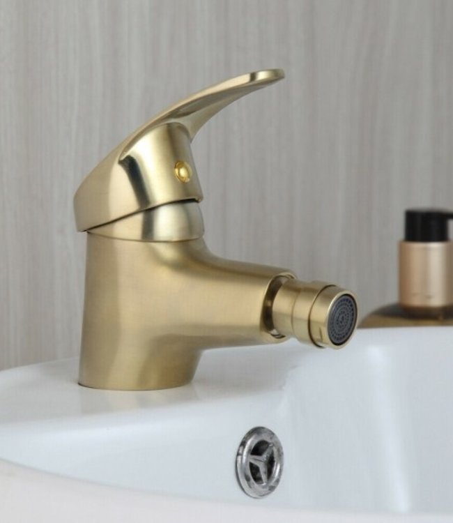 Rene Houtman Geborsteld Gouden Bidet Kraan