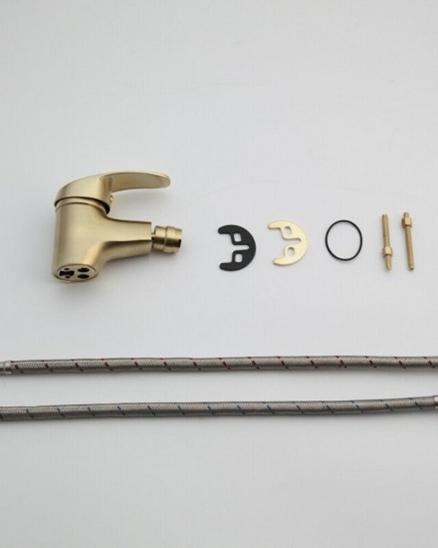 Rene Houtman Geborsteld Gouden Bidet Kraan