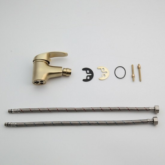 Rene Houtman Geborsteld Gouden Bidet Kraan
