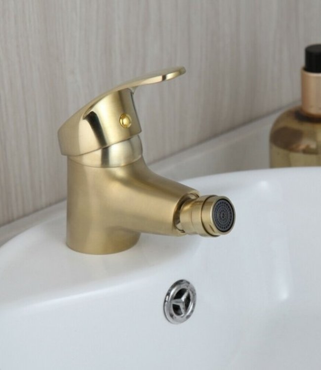 Rene Houtman Geborsteld Gouden Bidet Kraan
