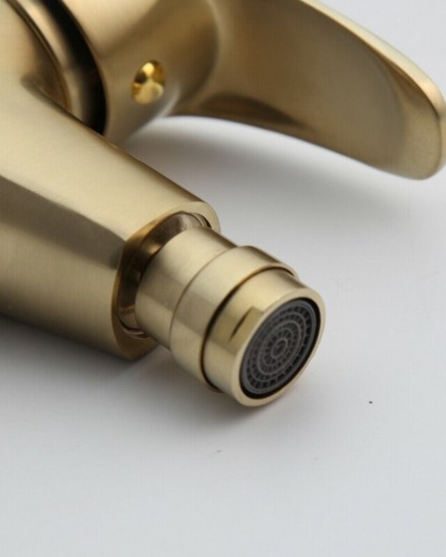 Rene Houtman Geborsteld Gouden Bidet Kraan