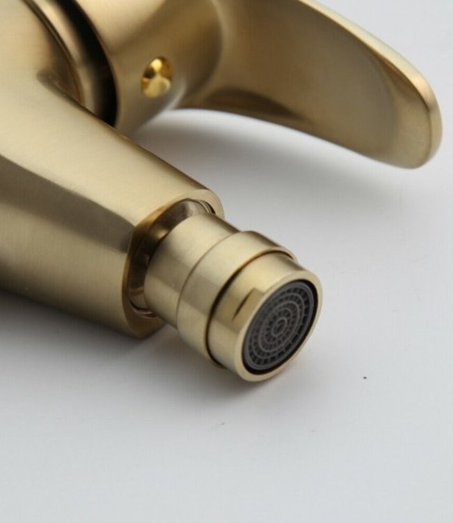 Rene Houtman Geborsteld Gouden Bidet Kraan
