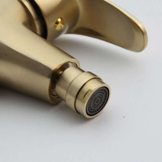 Rene Houtman Geborsteld Gouden Bidet Kraan
