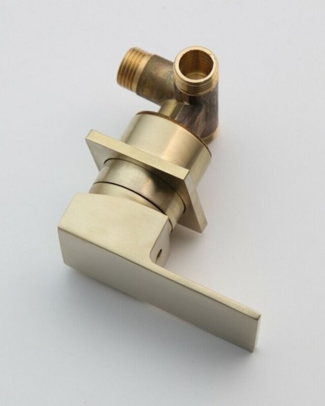 Rene Houtman Geborsteld Gouden Inbouw Kraan