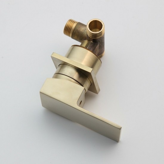 Rene Houtman Geborsteld Gouden Inbouw Kraan