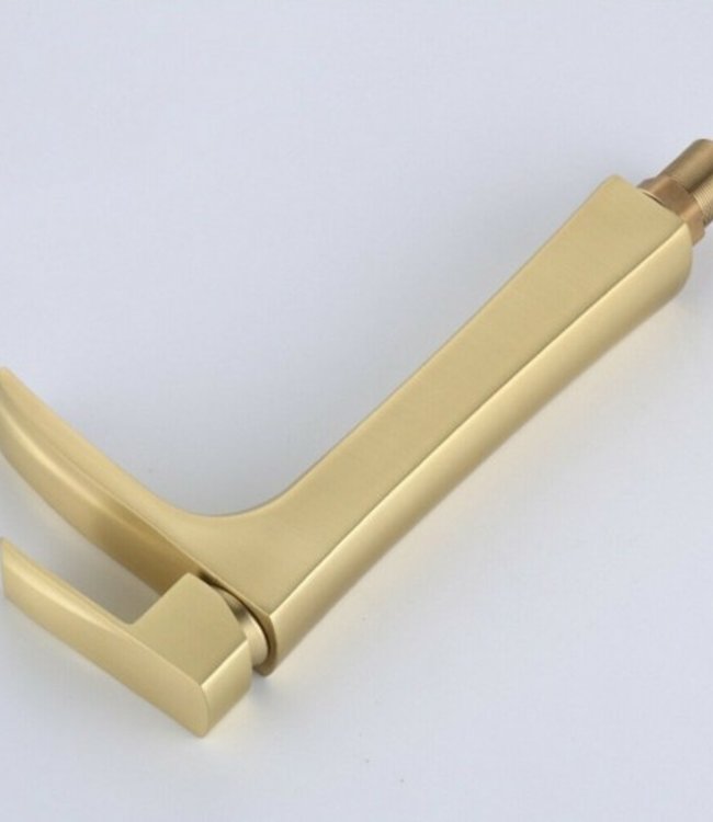 Rene Houtman Hoge Geborsteld Gouden Kraan