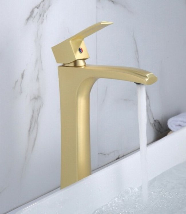 Rene Houtman Hoge Geborsteld Gouden Kraan