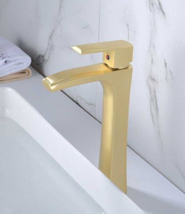 Rene Houtman Hoge Geborsteld Gouden Kraan