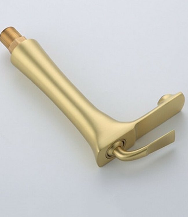 Rene Houtman Geborsteld Gouden Wastafelkraan