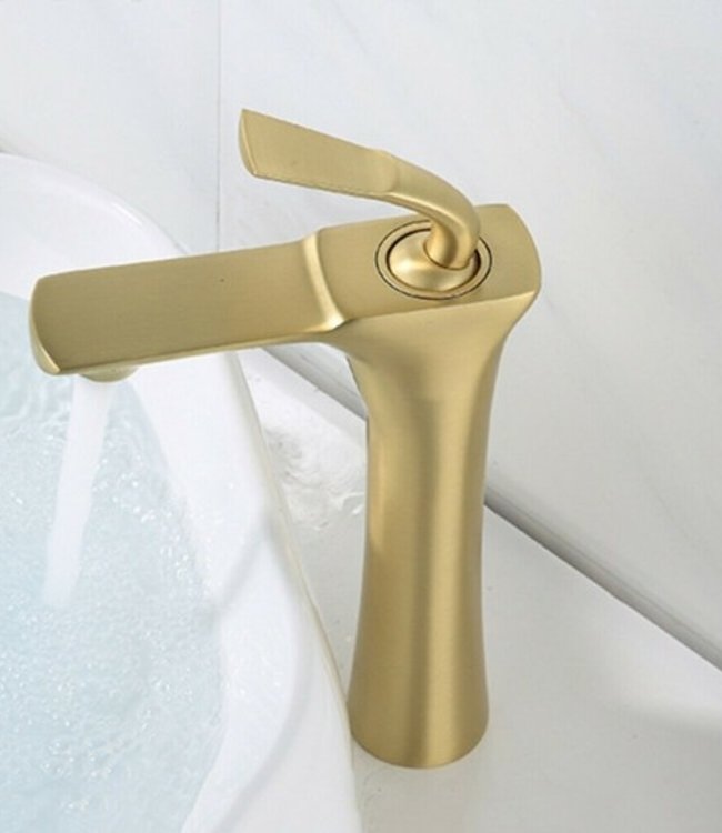 Rene Houtman Geborsteld Gouden Wastafelkraan