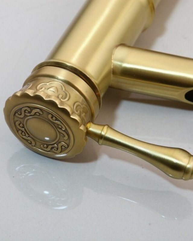 Rene Houtman Hoge Geborsteld Gouden Kraan