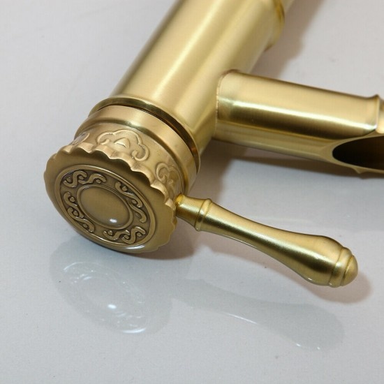 Rene Houtman Hoge Geborsteld Gouden Kraan